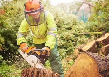 Fusion21 invites bids for £85 million Grounds Maintenance Framework