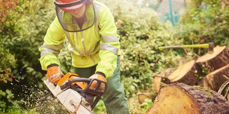 Fusion21 invites bids for £85 million Grounds Maintenance Framework