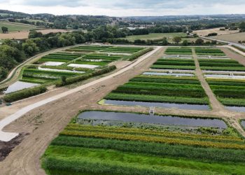 AI technology transforms water project by cutting delivery time and carbon emissions