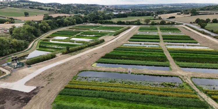 AI technology transforms water project by cutting delivery time and carbon emissions