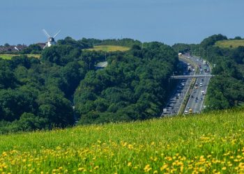 Why Is Construction Chasing Net Zero While Ignoring the Carbon We Are Destroying?