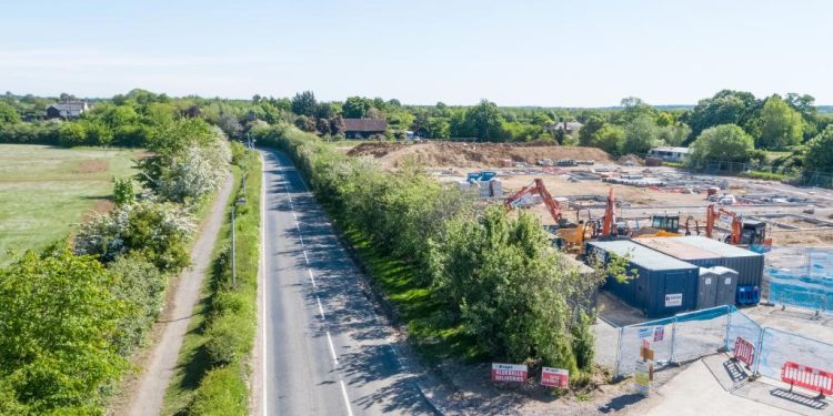 Why are we still losing trees on our highways and not counting the cost?
