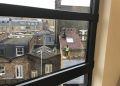 Construction Company and Director Fined for Risking Lives with Unsafe Roof Work