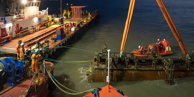 Hinkley Point C completes 620m fish return tunnel beneath Bristol Channel